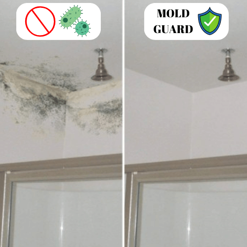 mold-remove-paint-easy