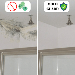 mold-remove-paint-easy